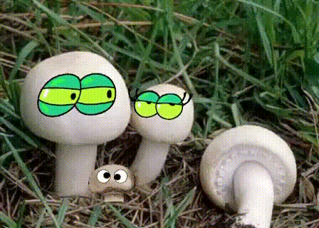 Грибы с глазами