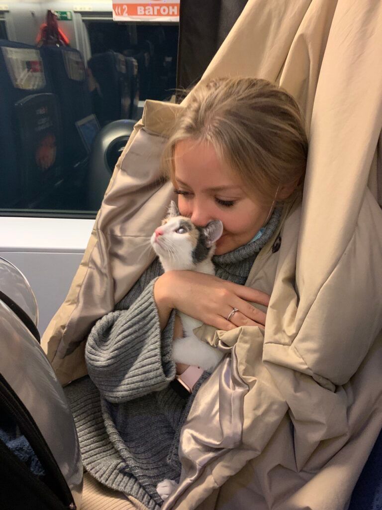 Как перевезти кота за границу: реальный опыт