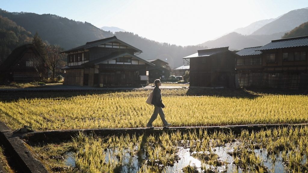 Где искупать капибару и найти остров кроликов: 6 необычных мест в Японии