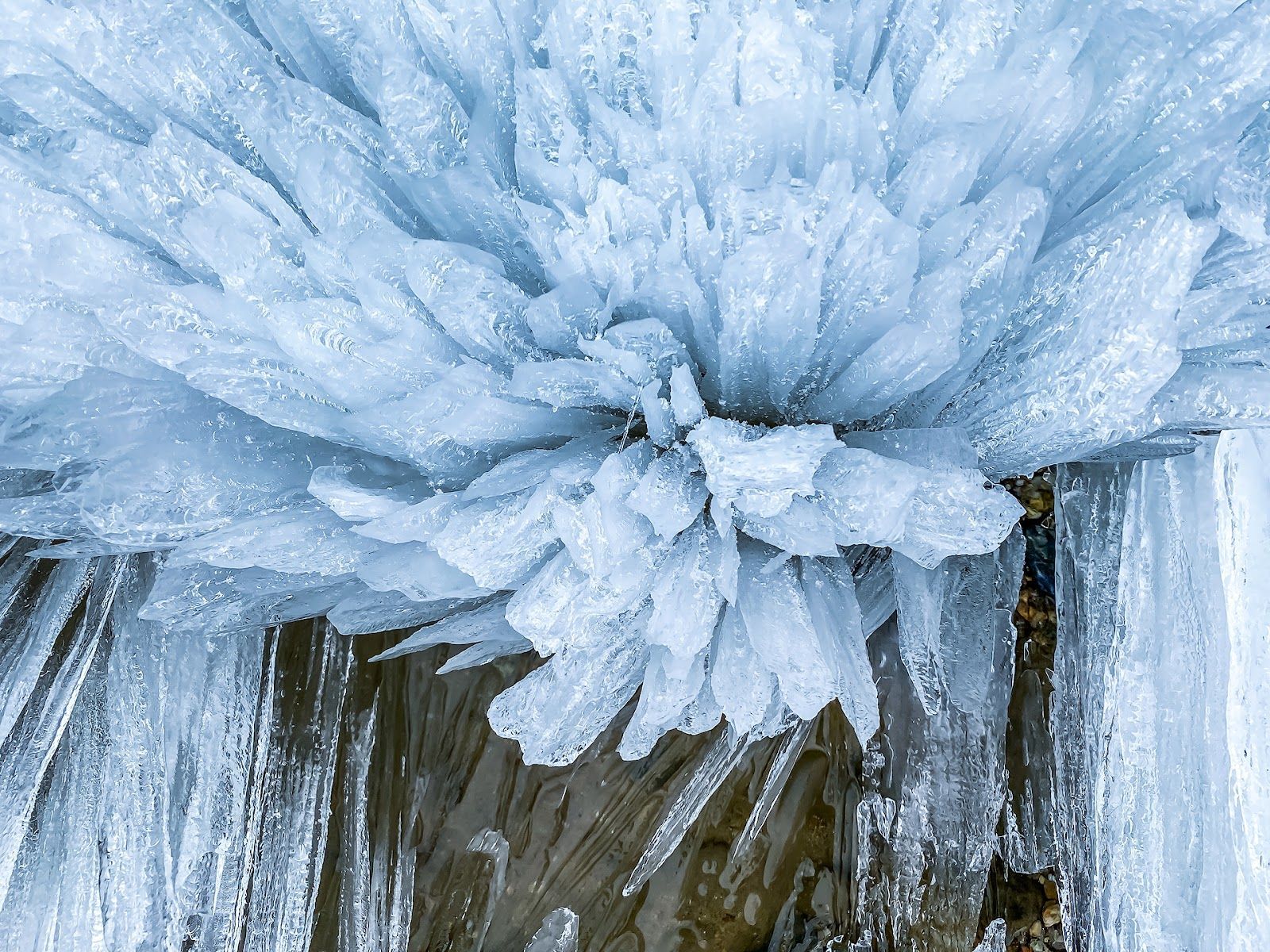 Лёдяной «цветок»