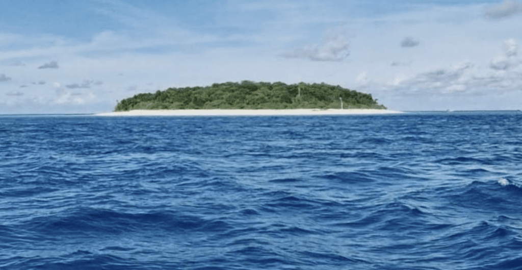 Как поехать спасать морских черепах и сколько это стоит