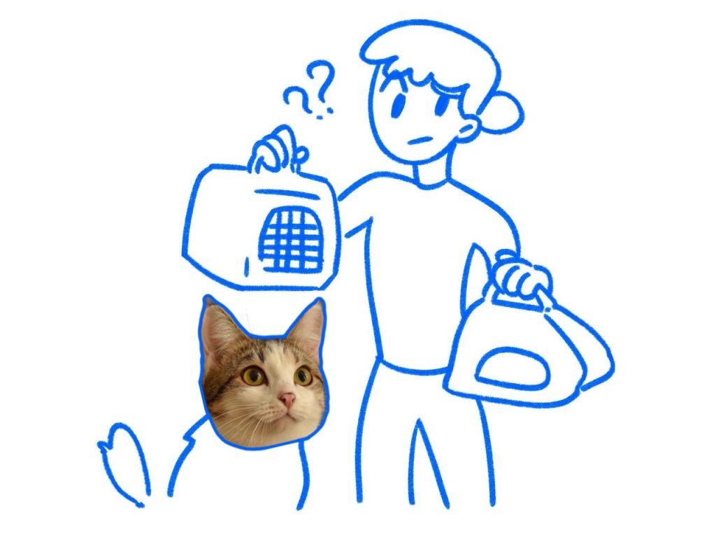 Как выбрать переноску для полёта с питомцем