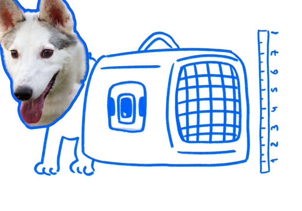 Размеры переноски