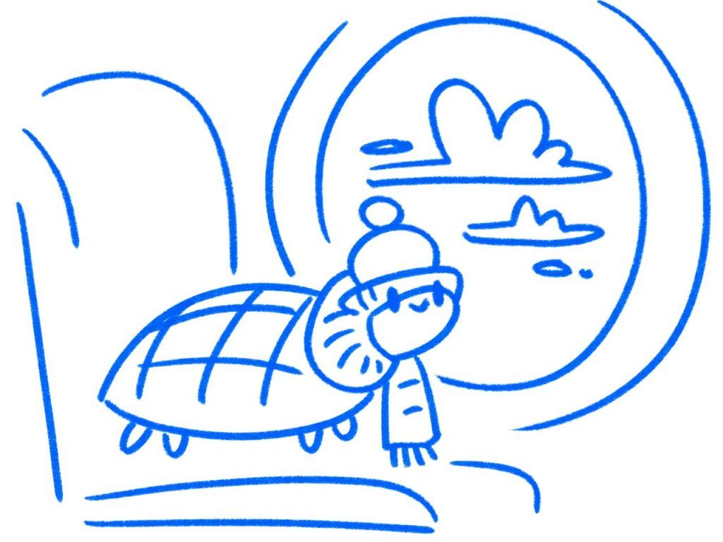 черепаха у окна