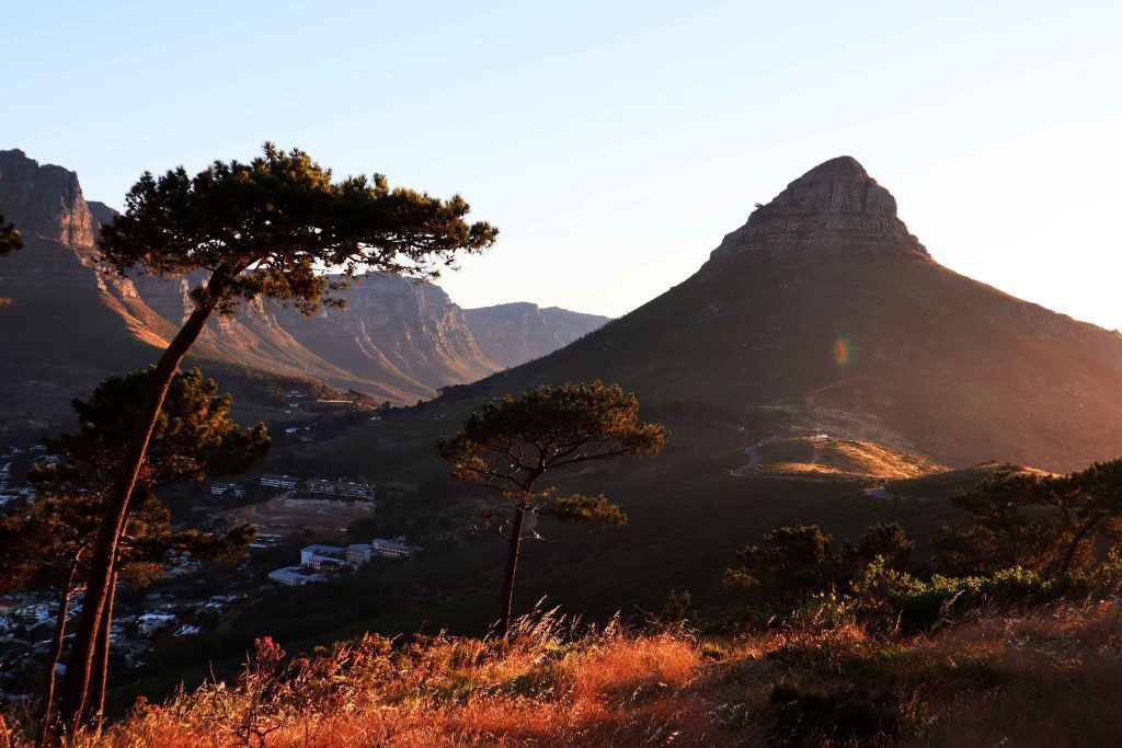 Львиная голова в Кейптауне