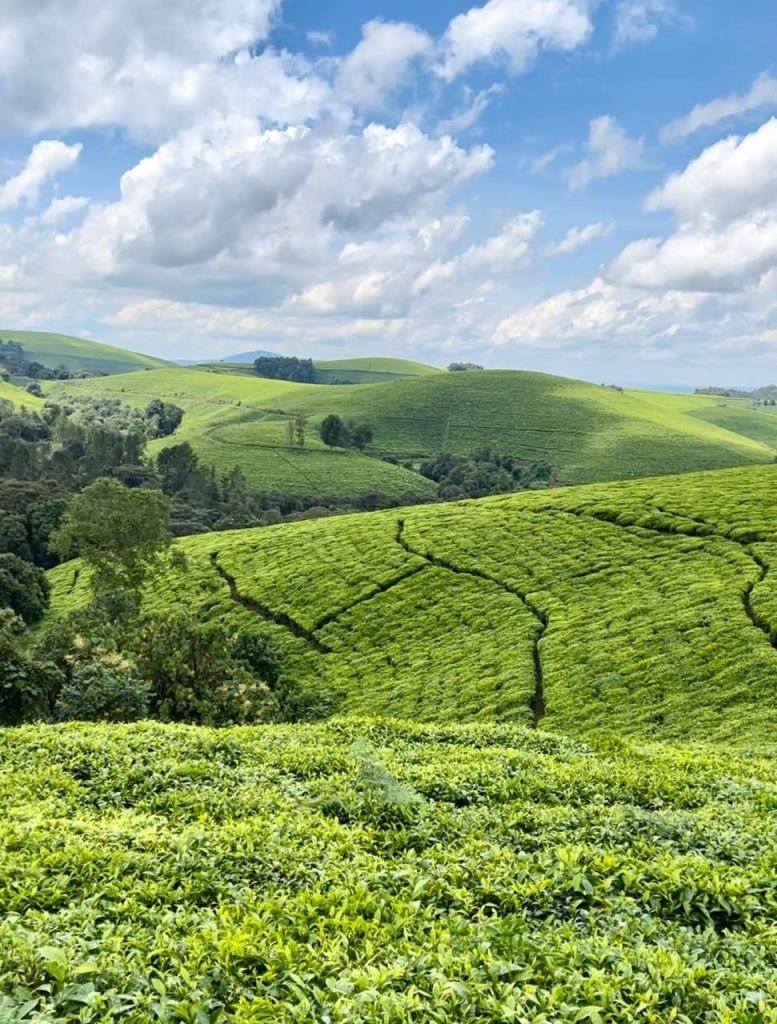 Как я съездил в Бурунди