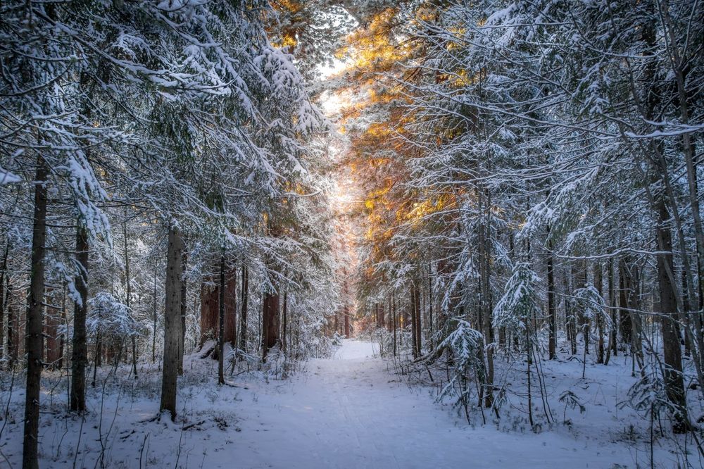 Путеводитель по Ханты-Мансийску