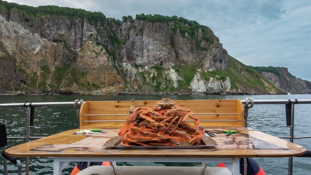 Камчатские крабы на фоне скал