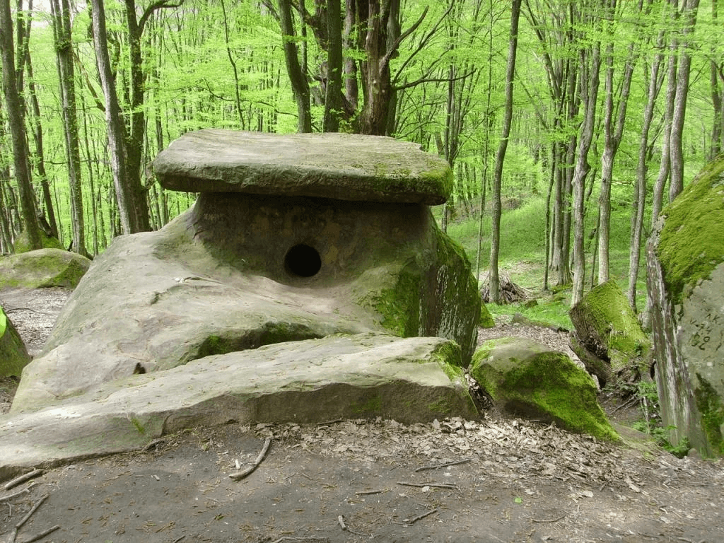 Древнее сооружение в лесу