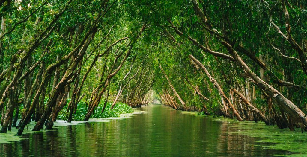 Лес и вода во Вьетнаме