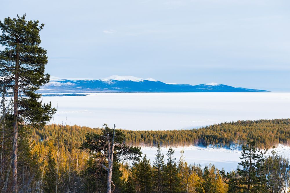 Берег Белого моря в Кандалакше