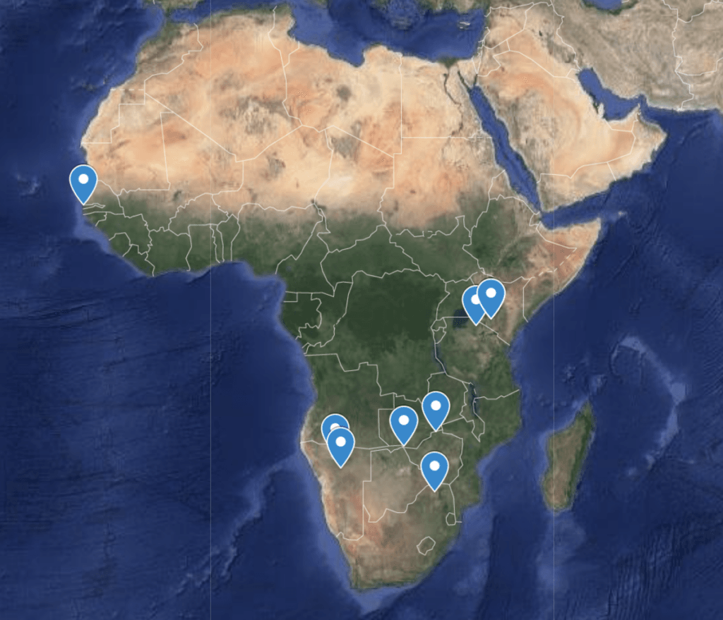 Африка: куда поехать на сафари