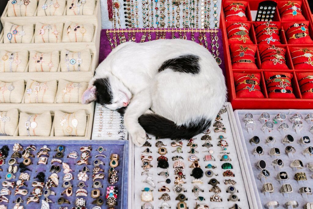 Кот лежит на драгоценностях