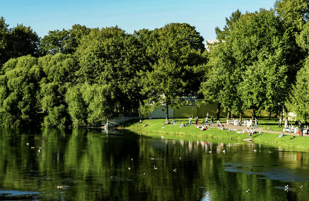 Красивый парк в Санкт-Петербурге