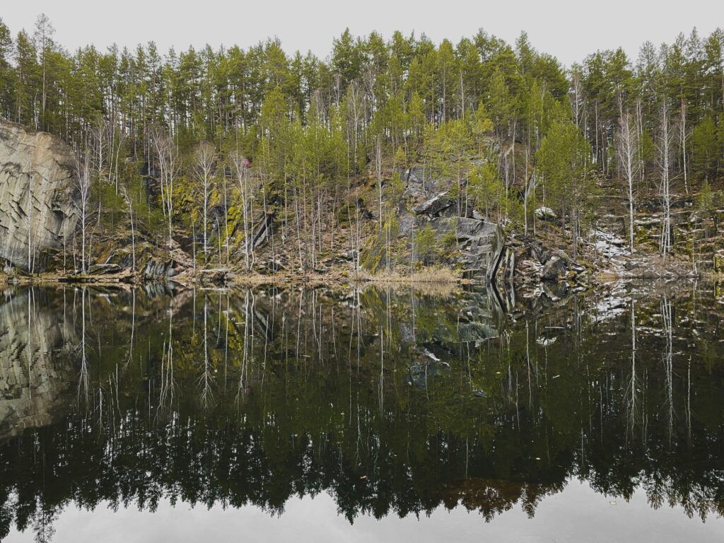 сосновый лес в Екатеринбурге