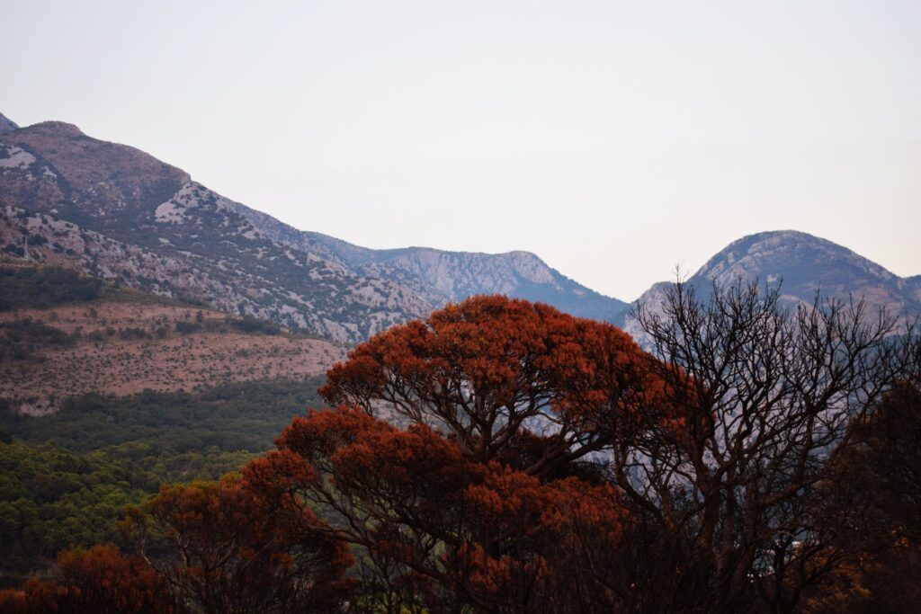 Вид с Жёлтой крепости