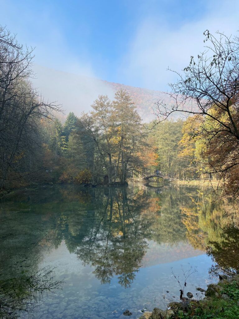 Vrelo Bosne