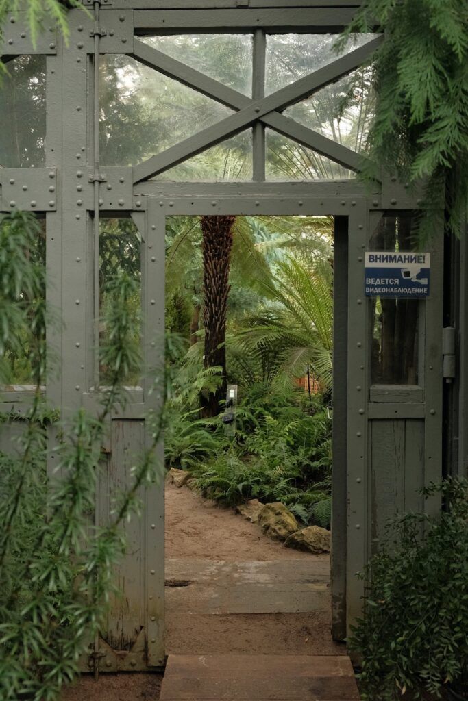 Дверь в царство растений