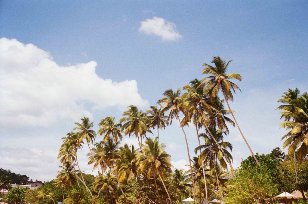 Сколько стоит отдохнуть на Шри-Ланке