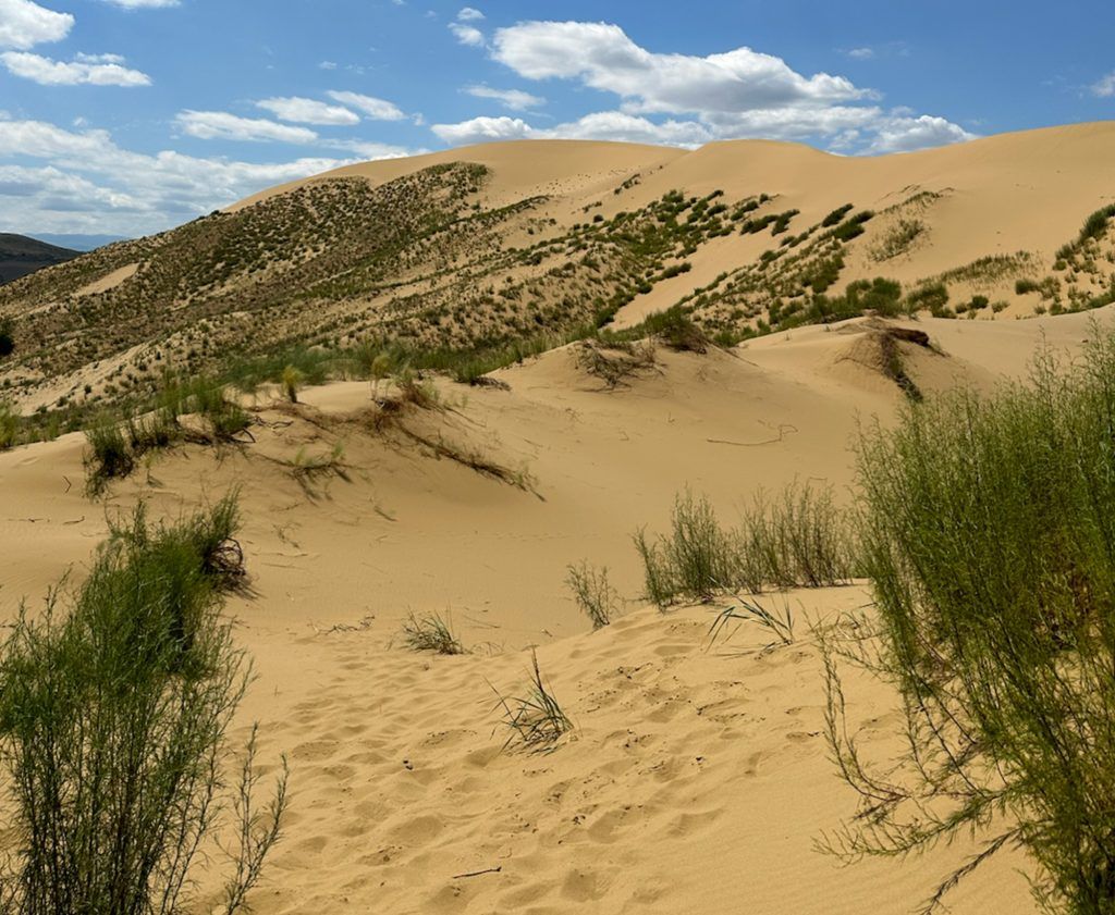 Бархан Сарыкум