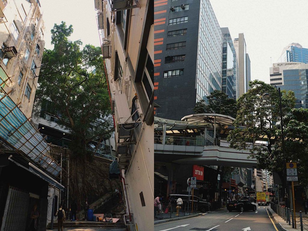 Виды Гонконга