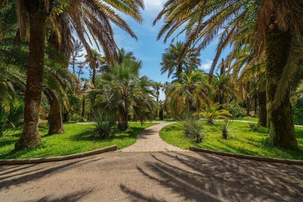 Сколько стоит поездка в Сочи весной-летом 2024 года