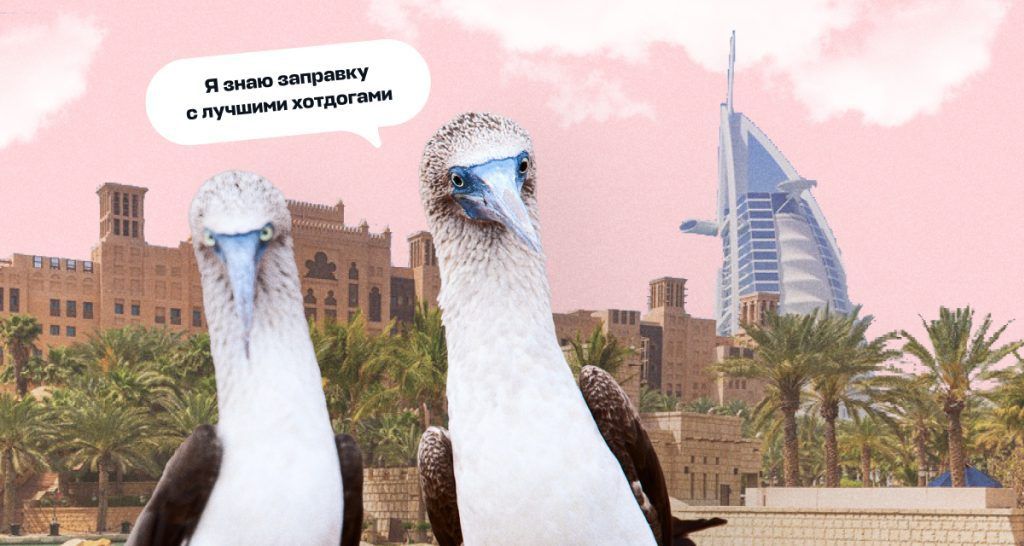 Свидания и путешествия