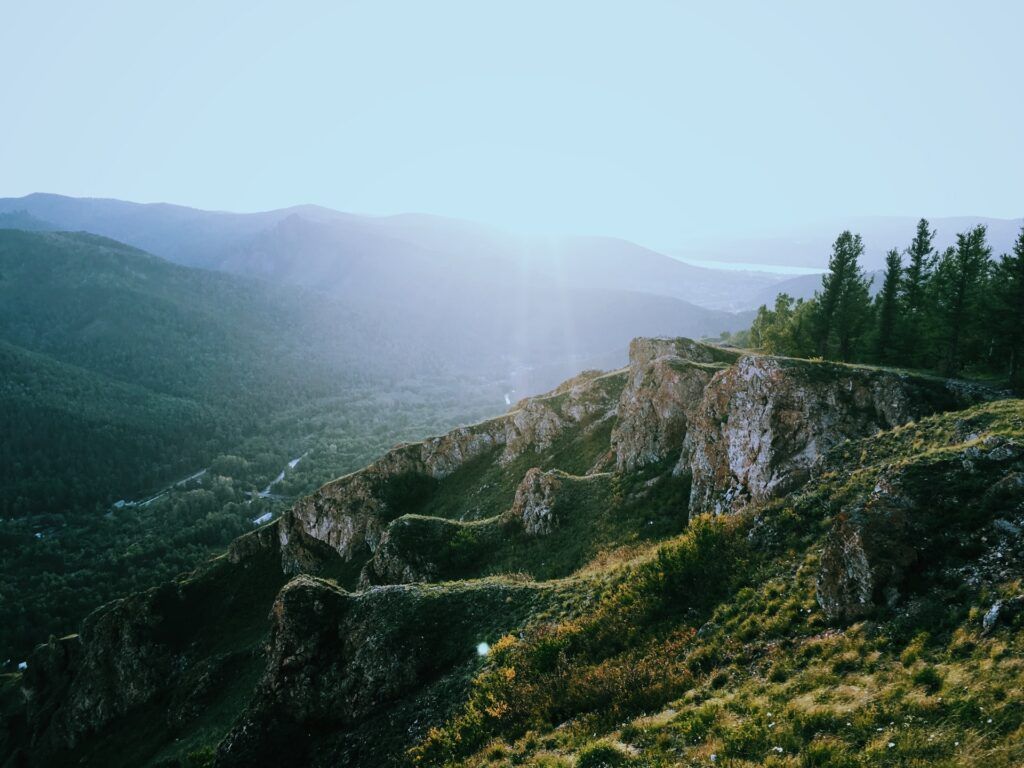 Лес на Ленских столбах