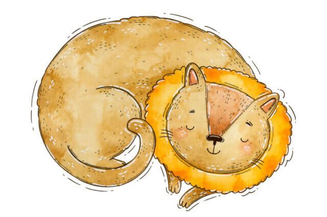 Кот-лев