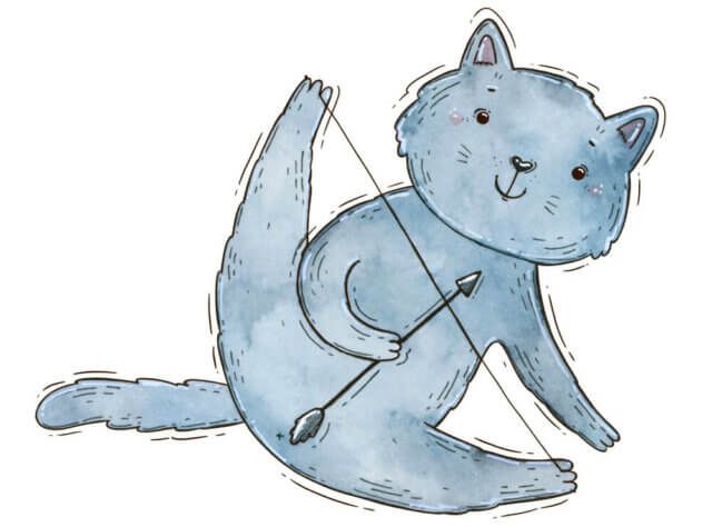 Кот-стрелец