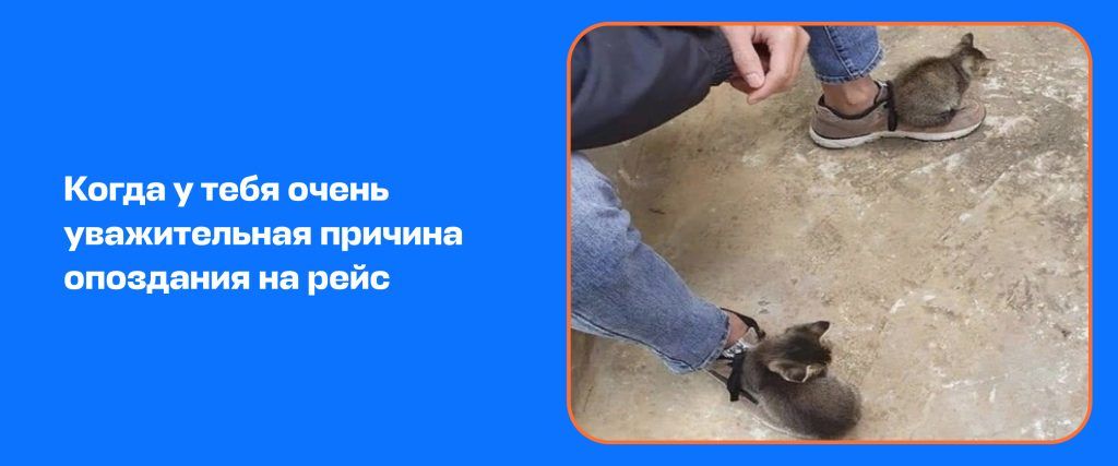 Опоздание на рейс