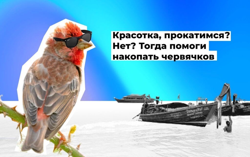 Красотка, прокатимся? Нет? Тогда помоги накопать червячков