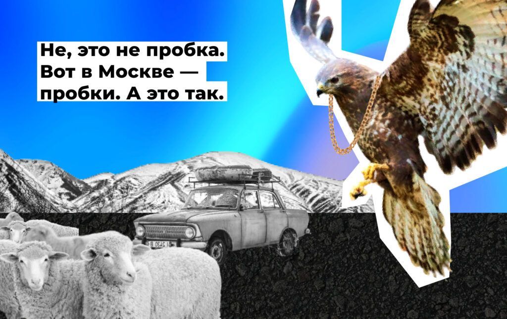 Куда летишь, птичка?