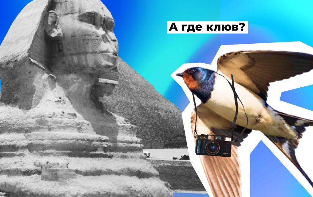 А где клюв?
