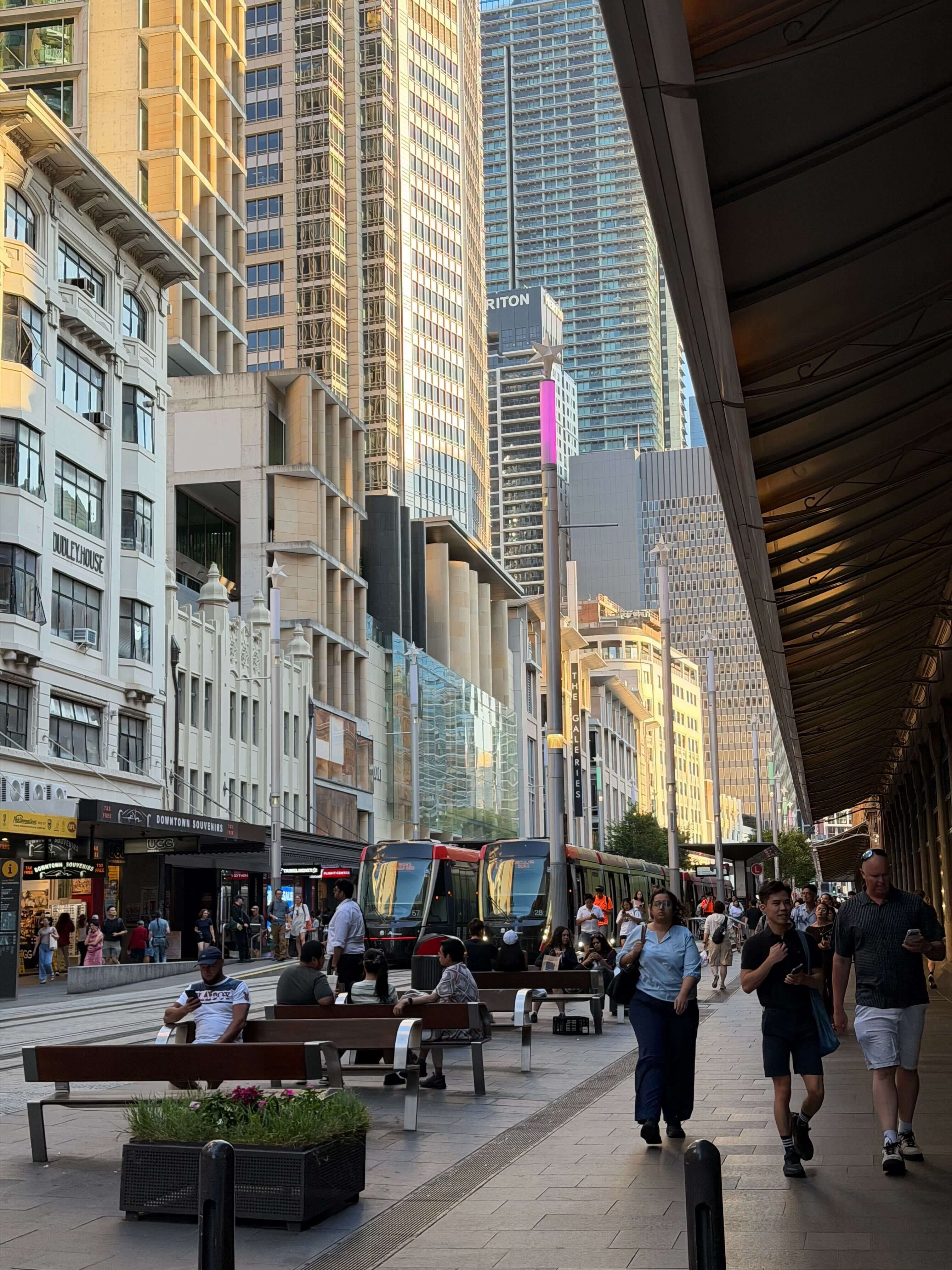 сидней (9).jpg