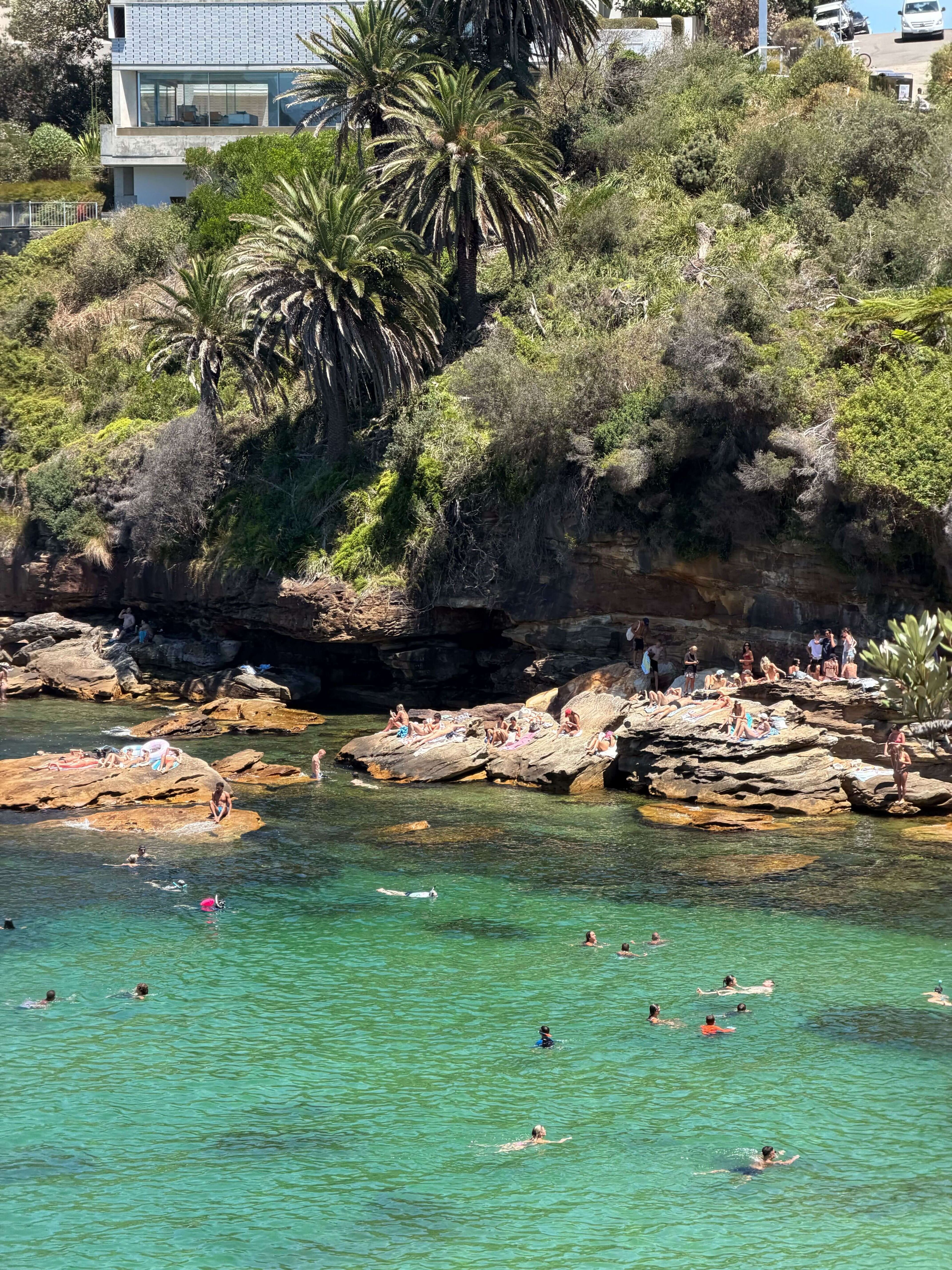 пляжи сиднея.jpg