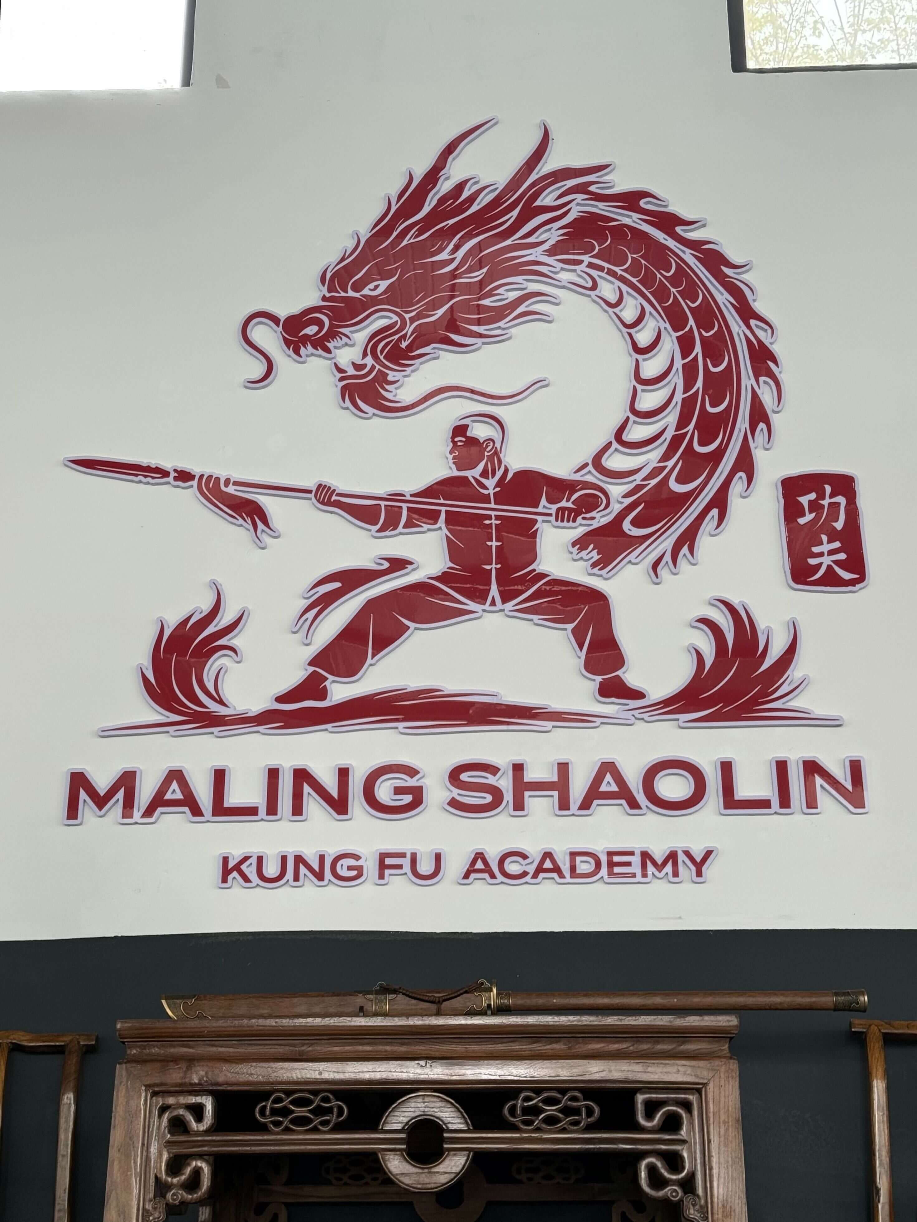 Логотип академии .jpg