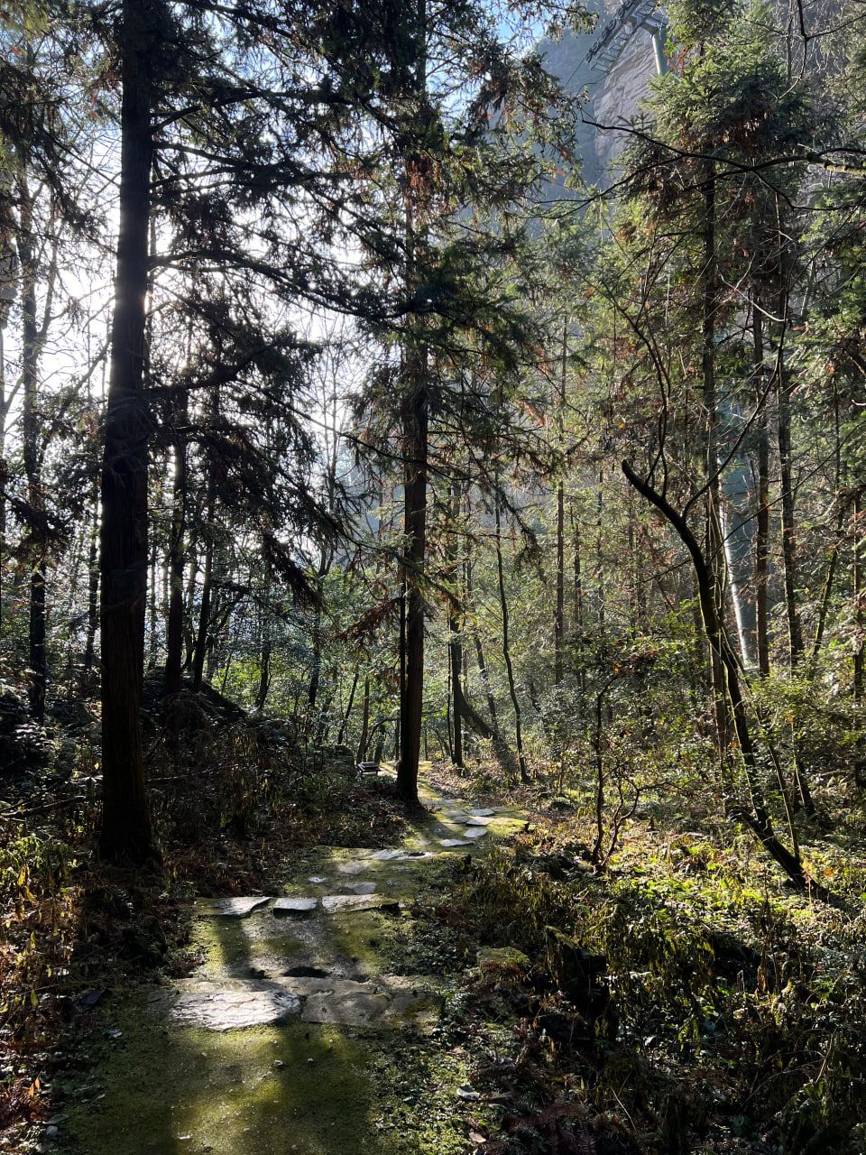 photo_2026-04-21_16-26-50 (2).jpg