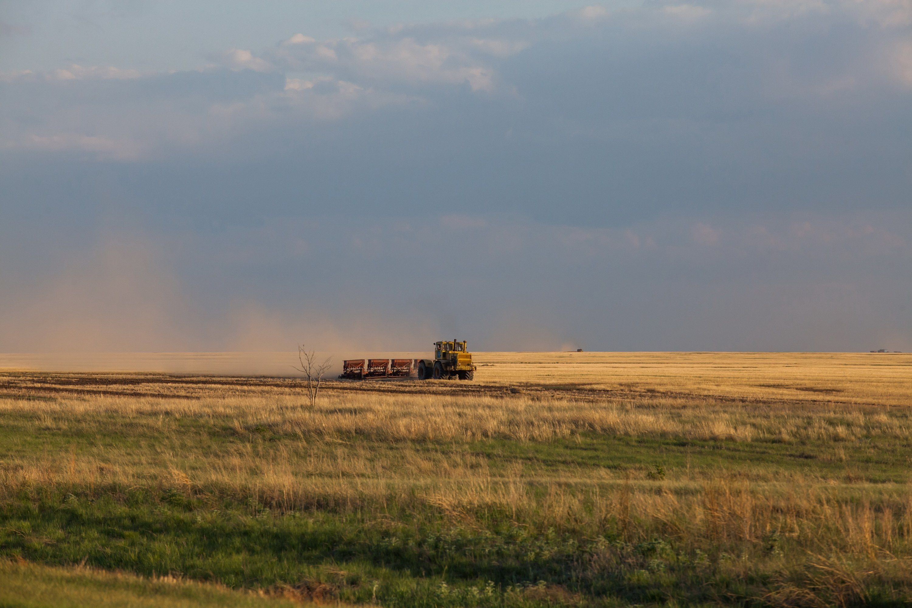 shutterstock_2141544819 (1).jpg