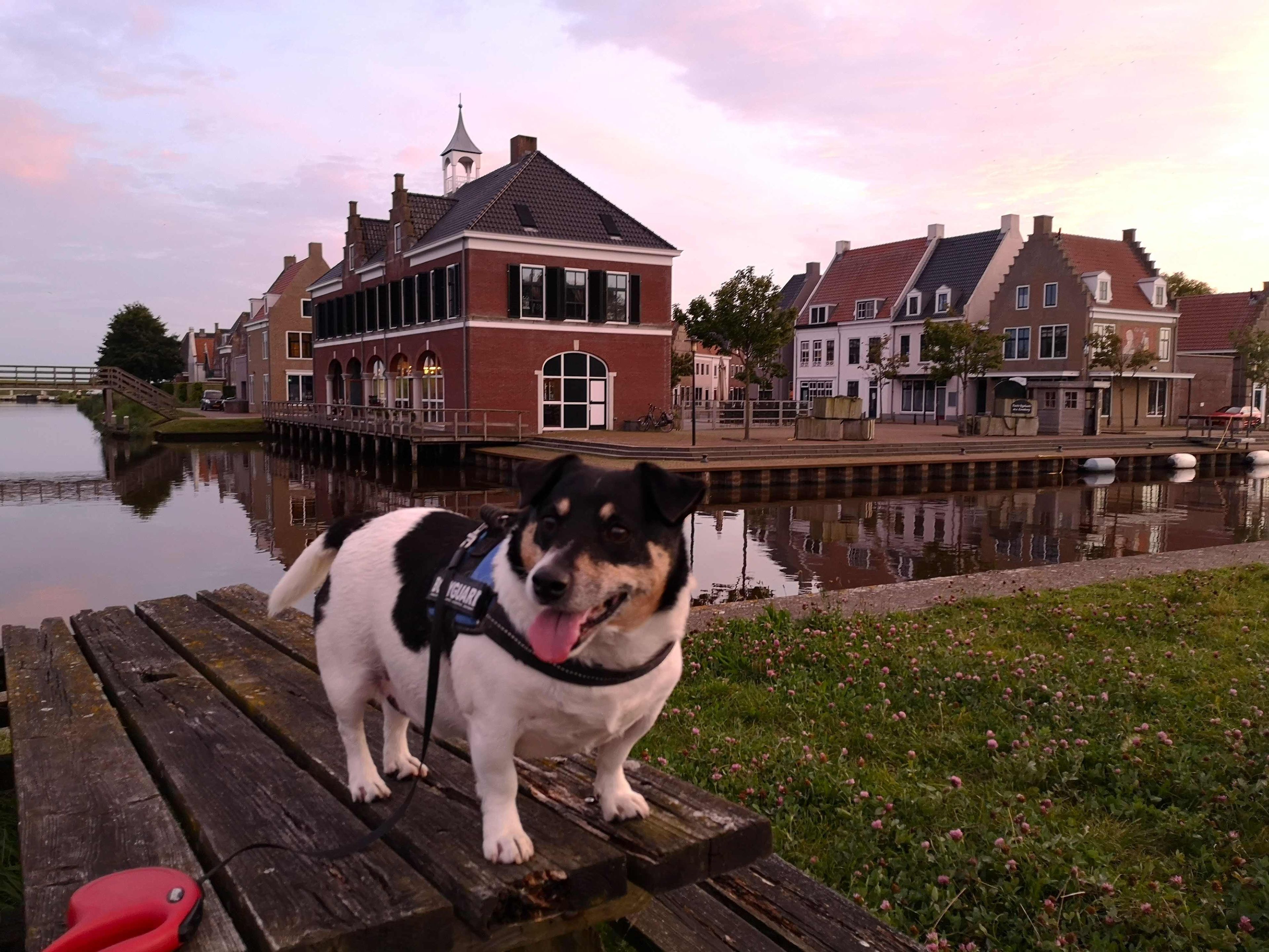 shutterstock_2532935867 (1).jpg