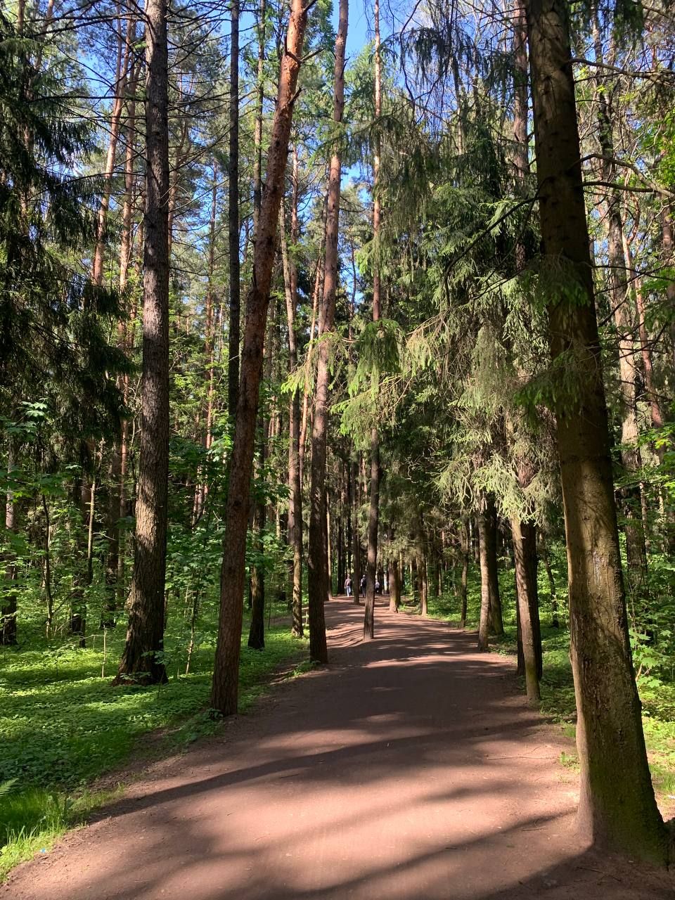 Мещерский пруд в Москве
