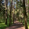 Мещерский пруд в Москве