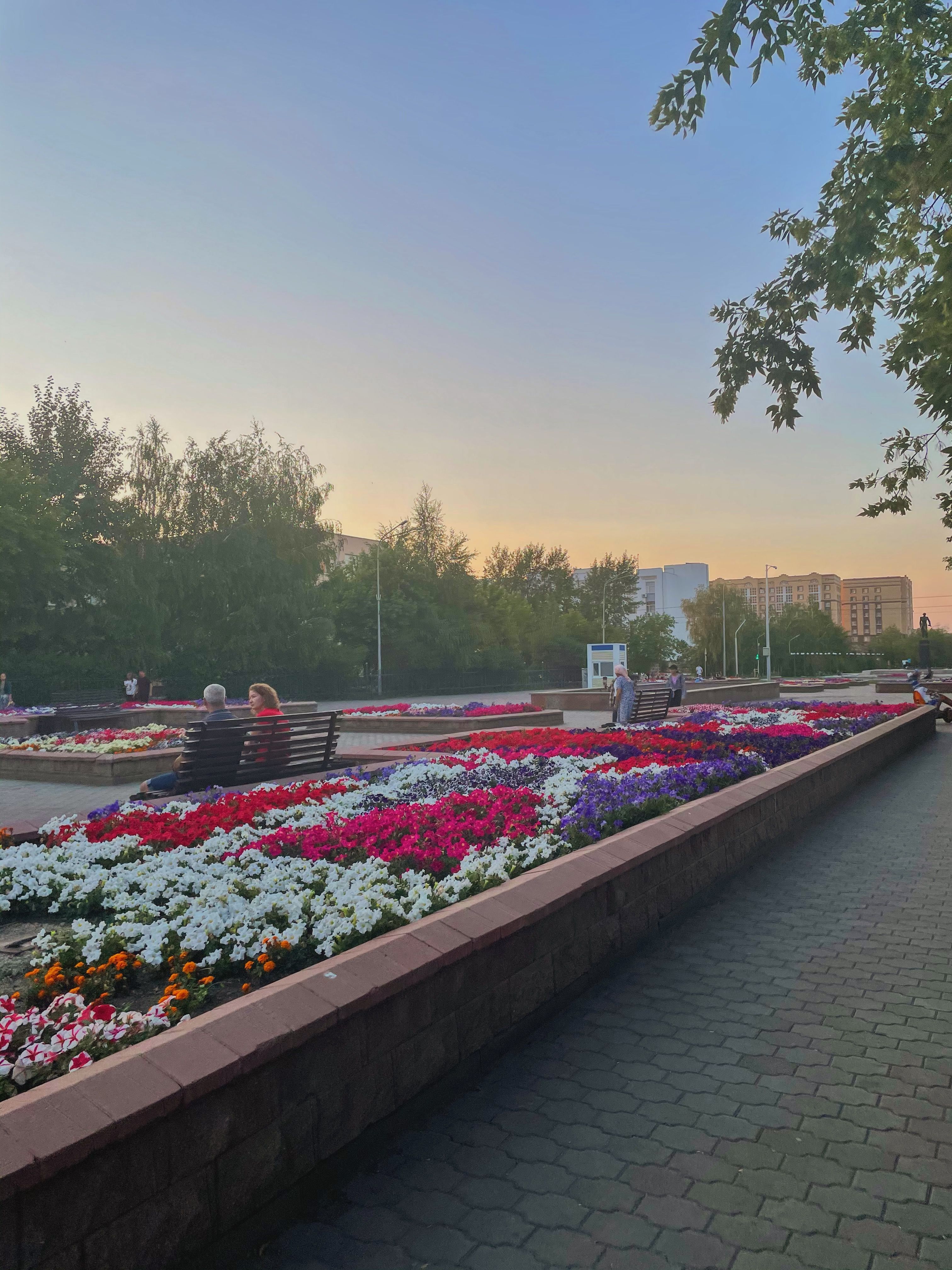 Центральный парк.jpg