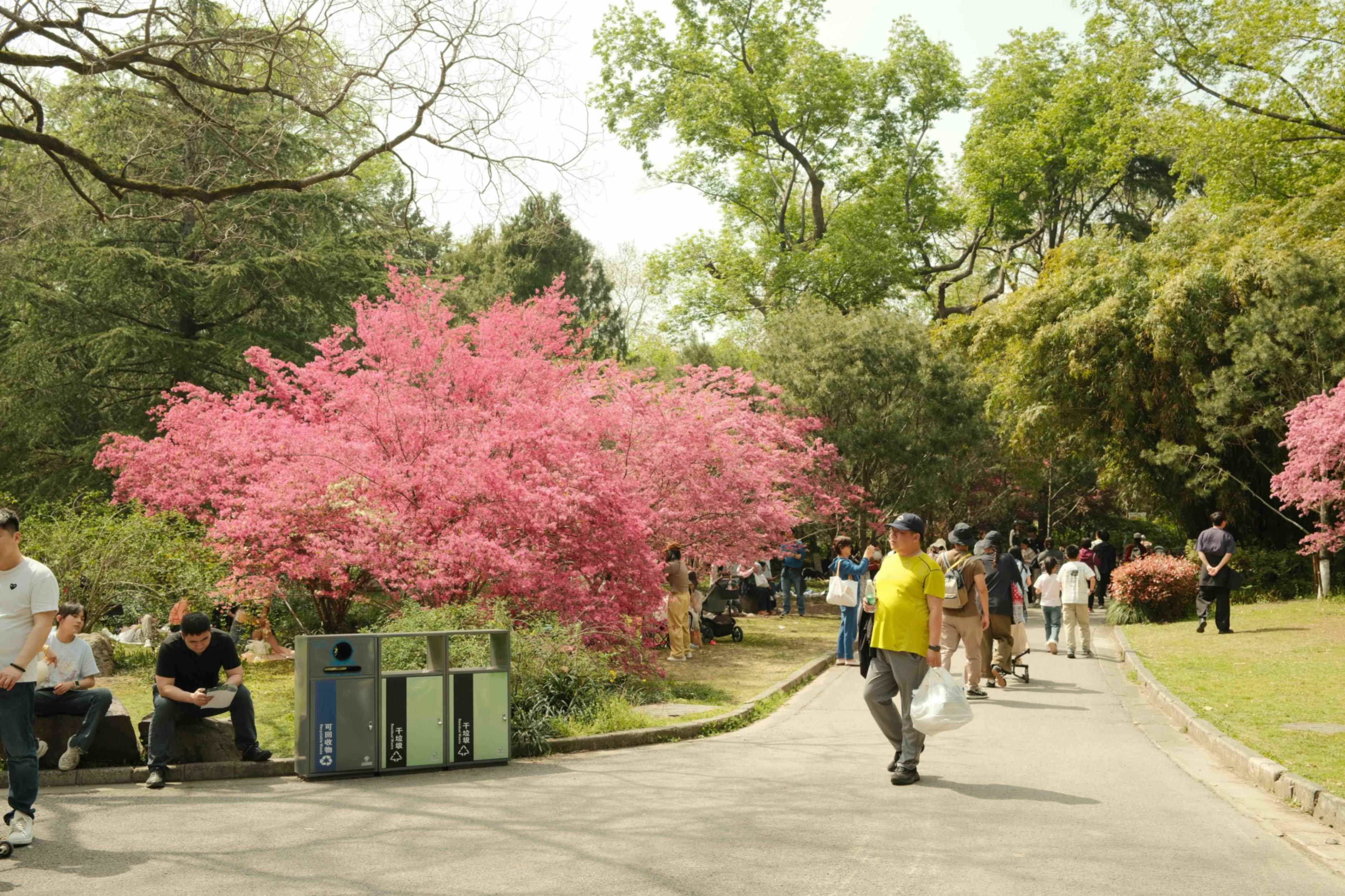 jpeg-optimizer_DSCF2198.jpeg