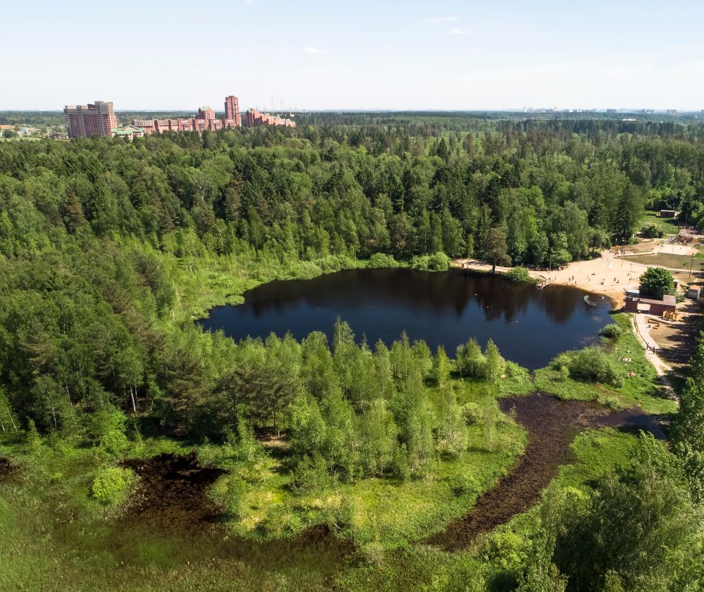 Чёрное озеро в Зеленограде, Москва