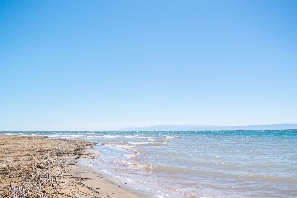 shutterstock_1506614339.jpg