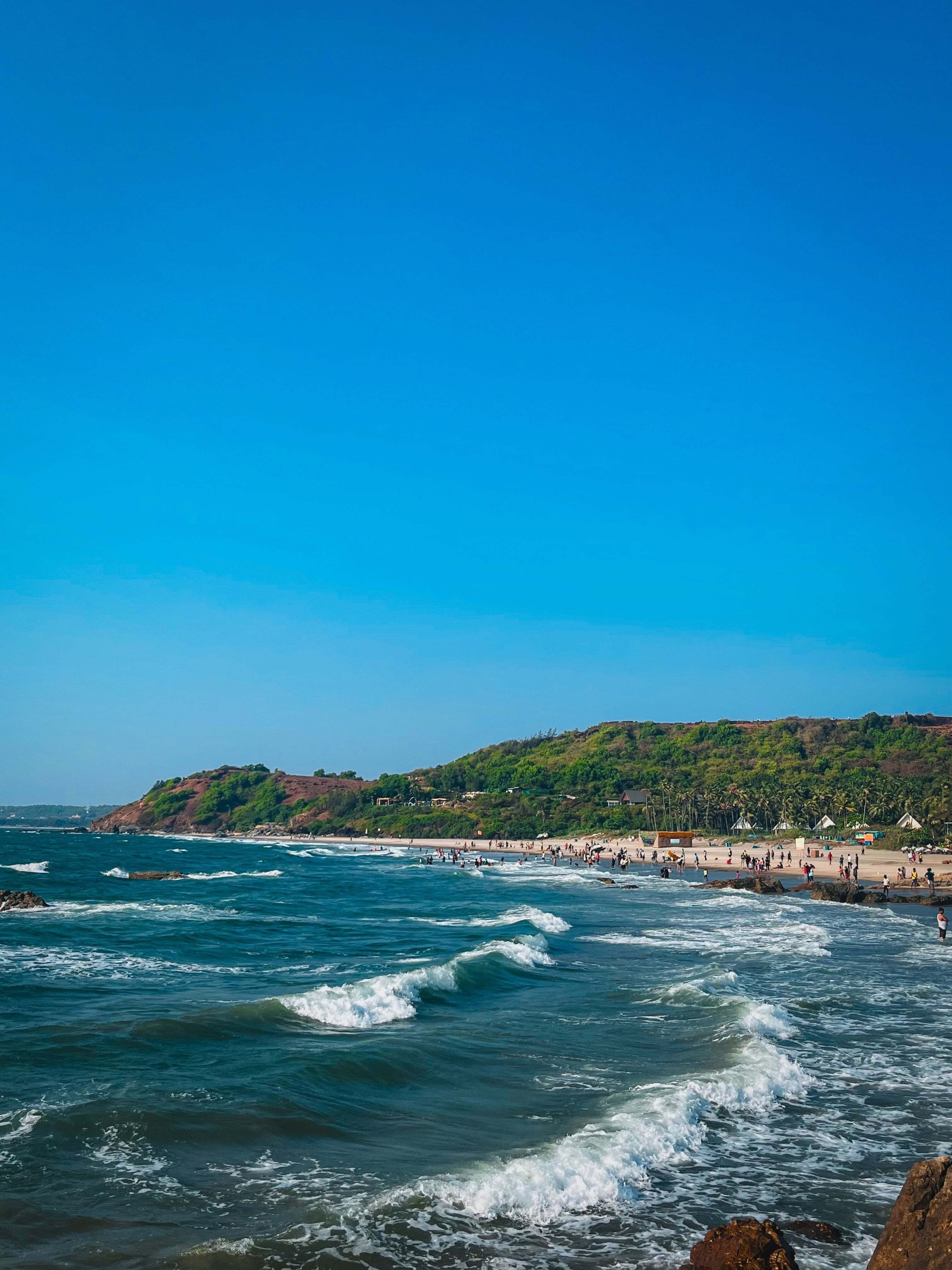 shutterstock_2438331031-2.jpg
