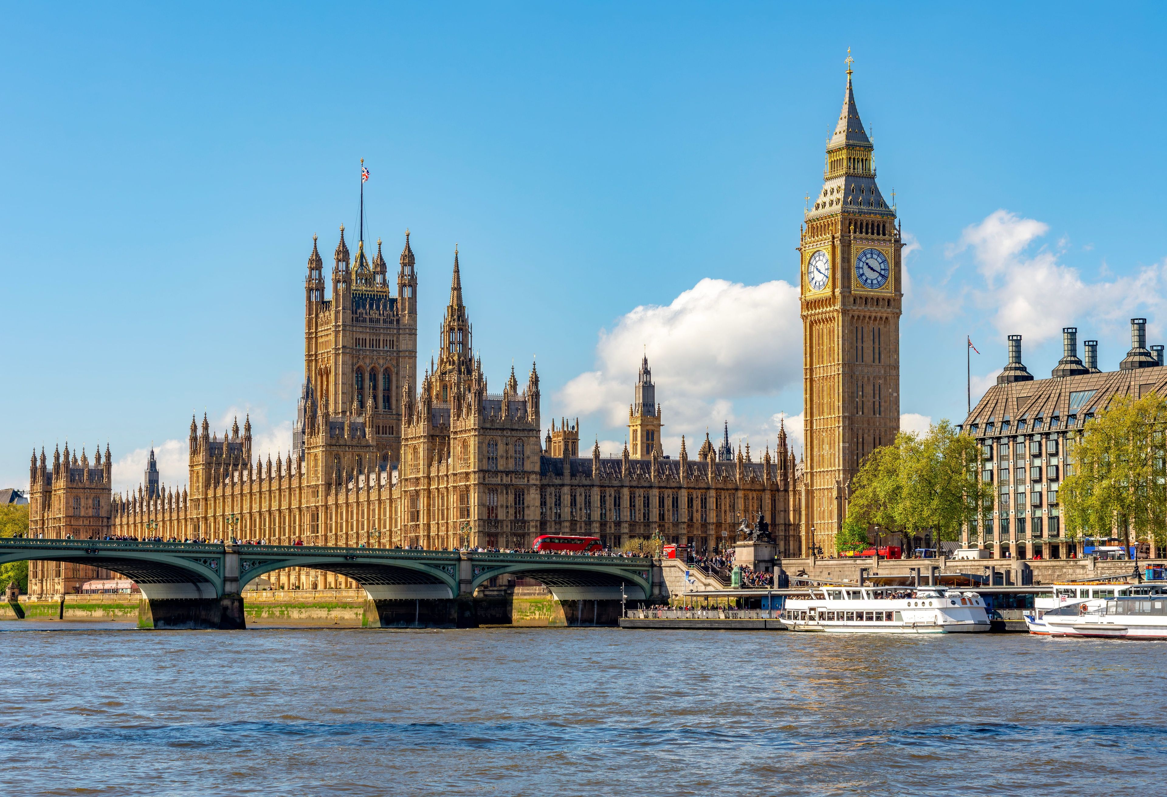 shutterstock_2460967347 (1).jpg