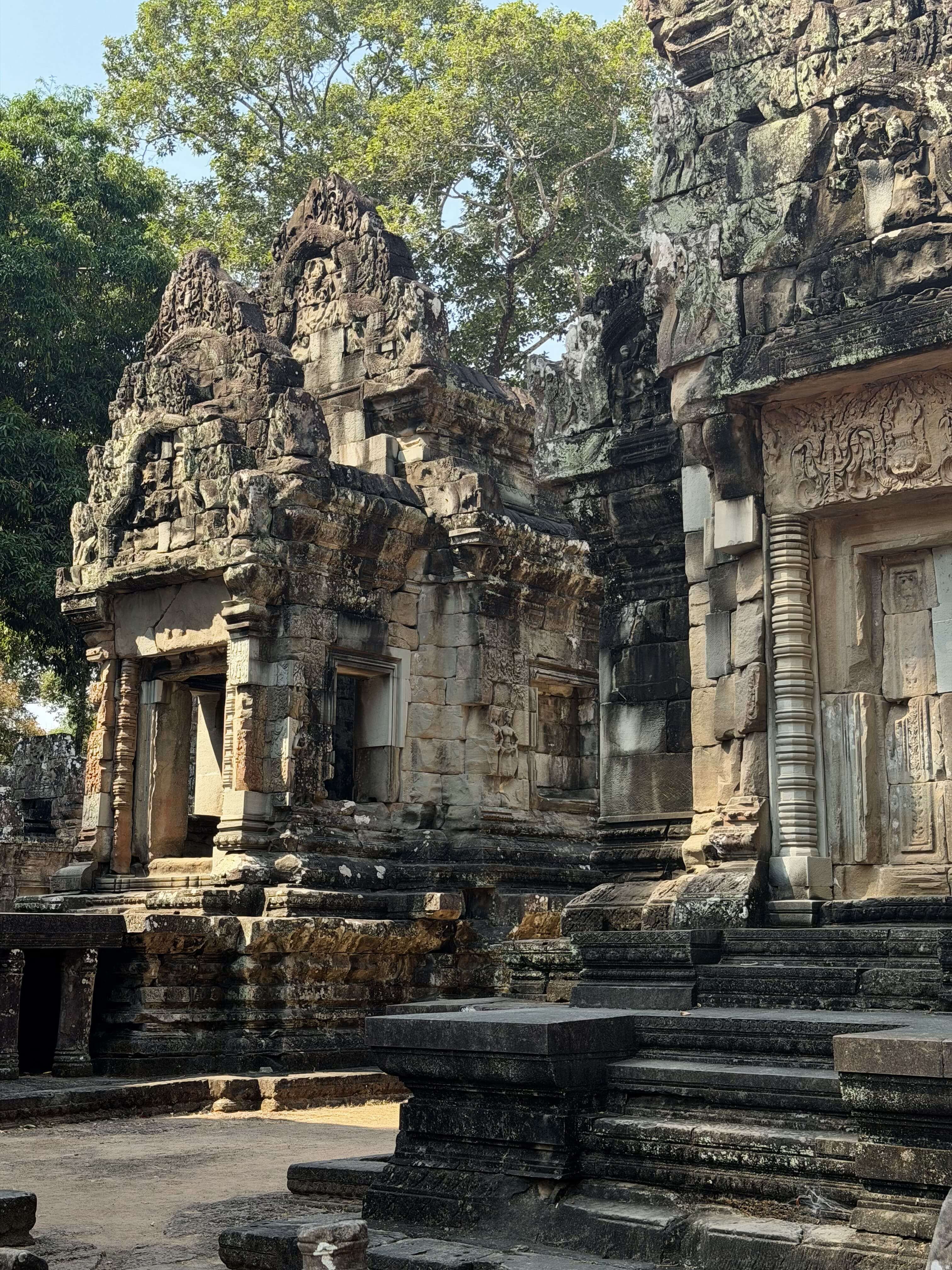 Ta Prohm.jpg