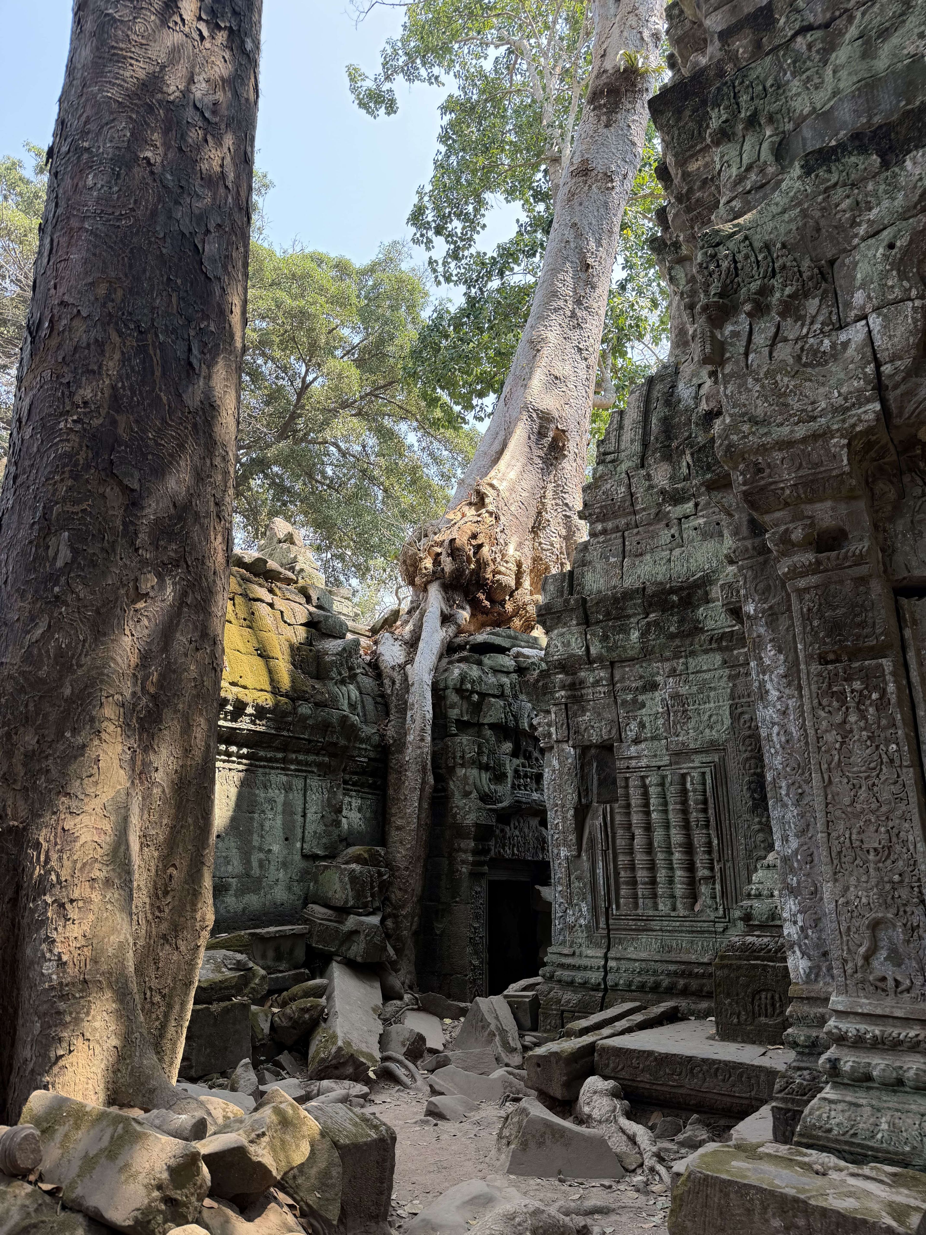 Ta Prohm2.jpg
